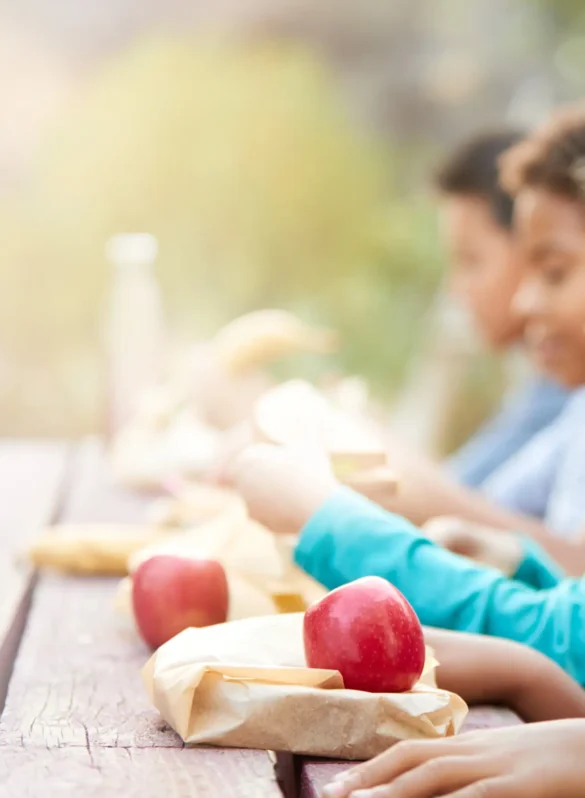 Kids at a picnic table with lunches and apples, outdoors